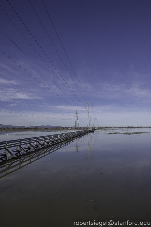 palo alto baylands 2023